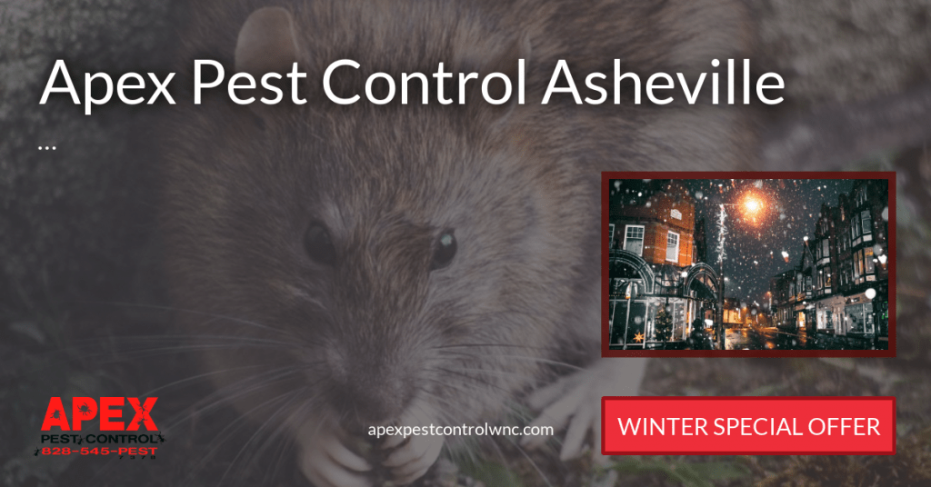 Overwintering Pests To Become Aware Of 20