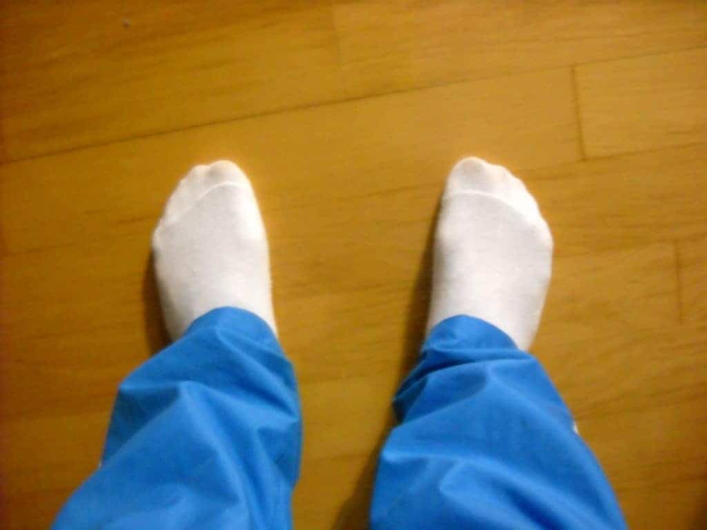 organic_flea_catching_white_socks