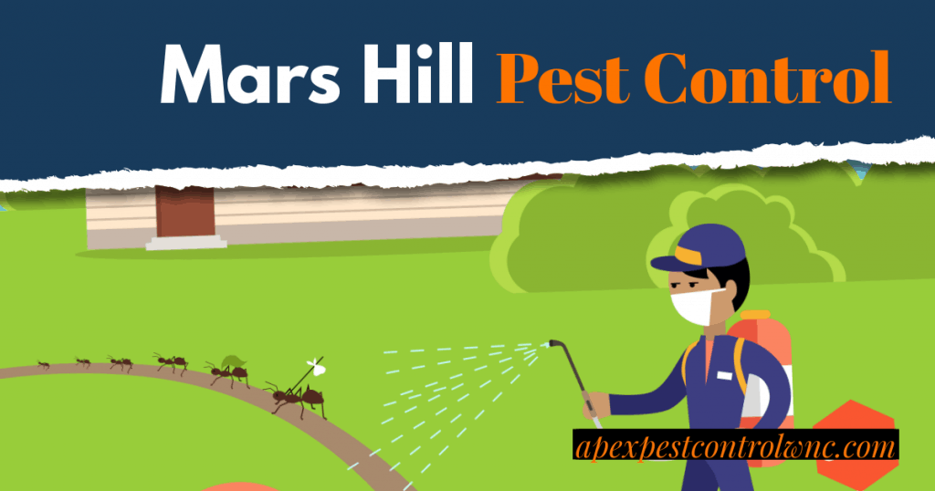 Mars Hill Pest Control