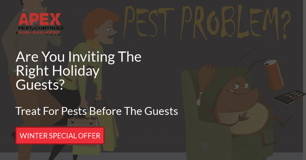 Christmas Guests and Christmas Pests