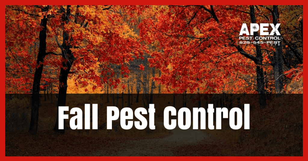Fall Pest Control: Expert Pest Prevention Tips