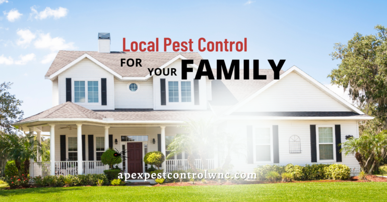 Local Pest Control cover