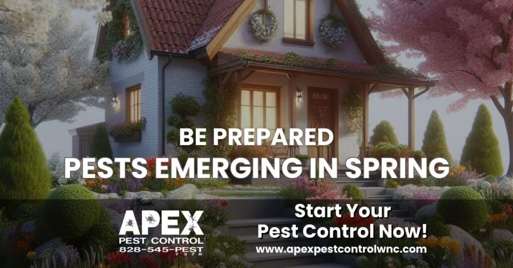 Be Prepared: Pests Emerging in Spring cover