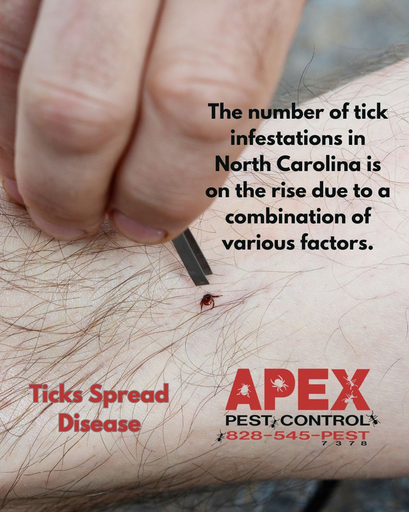 tick bites