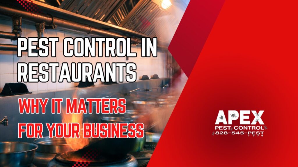 pest control in restaurants
